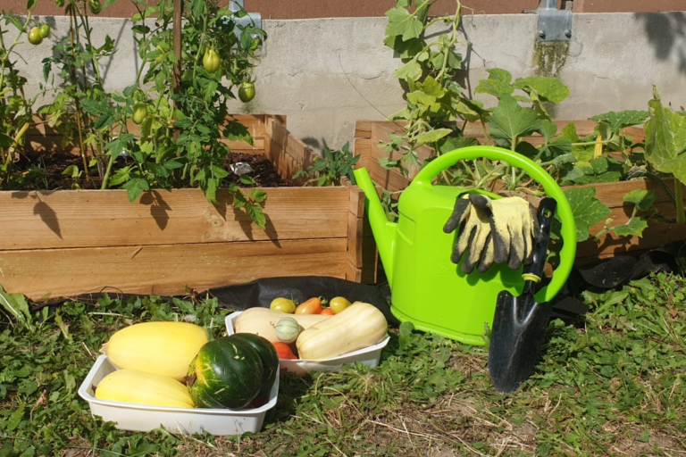 🍅🍆 Cultiver « son jardin », ça fait du bien 🍅🍆