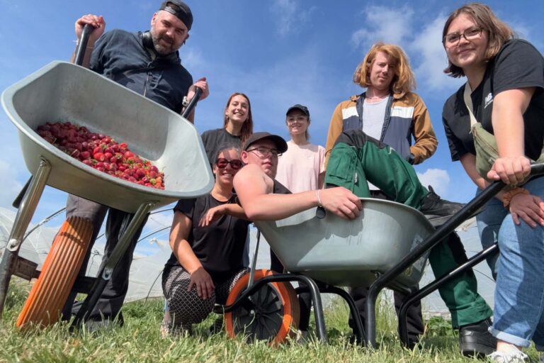 🍓 Oui, tout à fait, nous ramenons encore not&rsquo; fraise ! 🍓