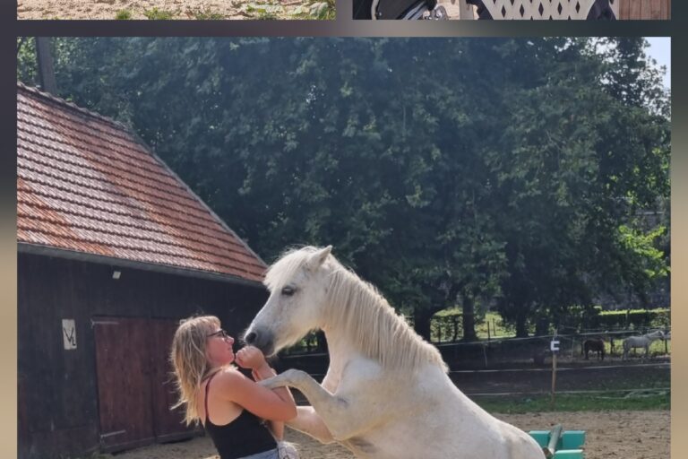🐴 Une parenthèse toujours très appréciée 🐴